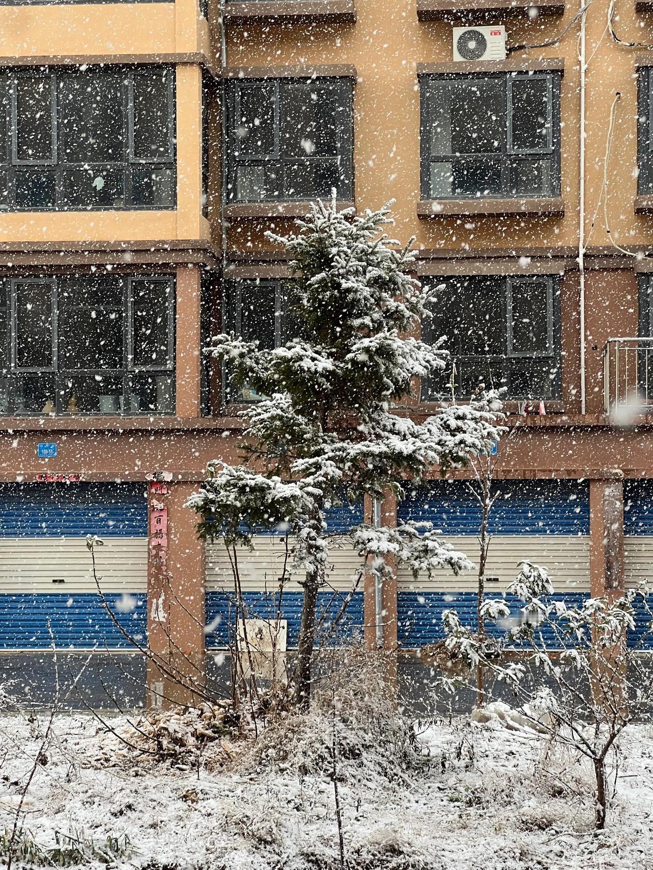 漫天的大雪，适合在家喝一壶热茶，虽然喜欢看下雪，但是下雪后的扫雪真是让人头疼，以