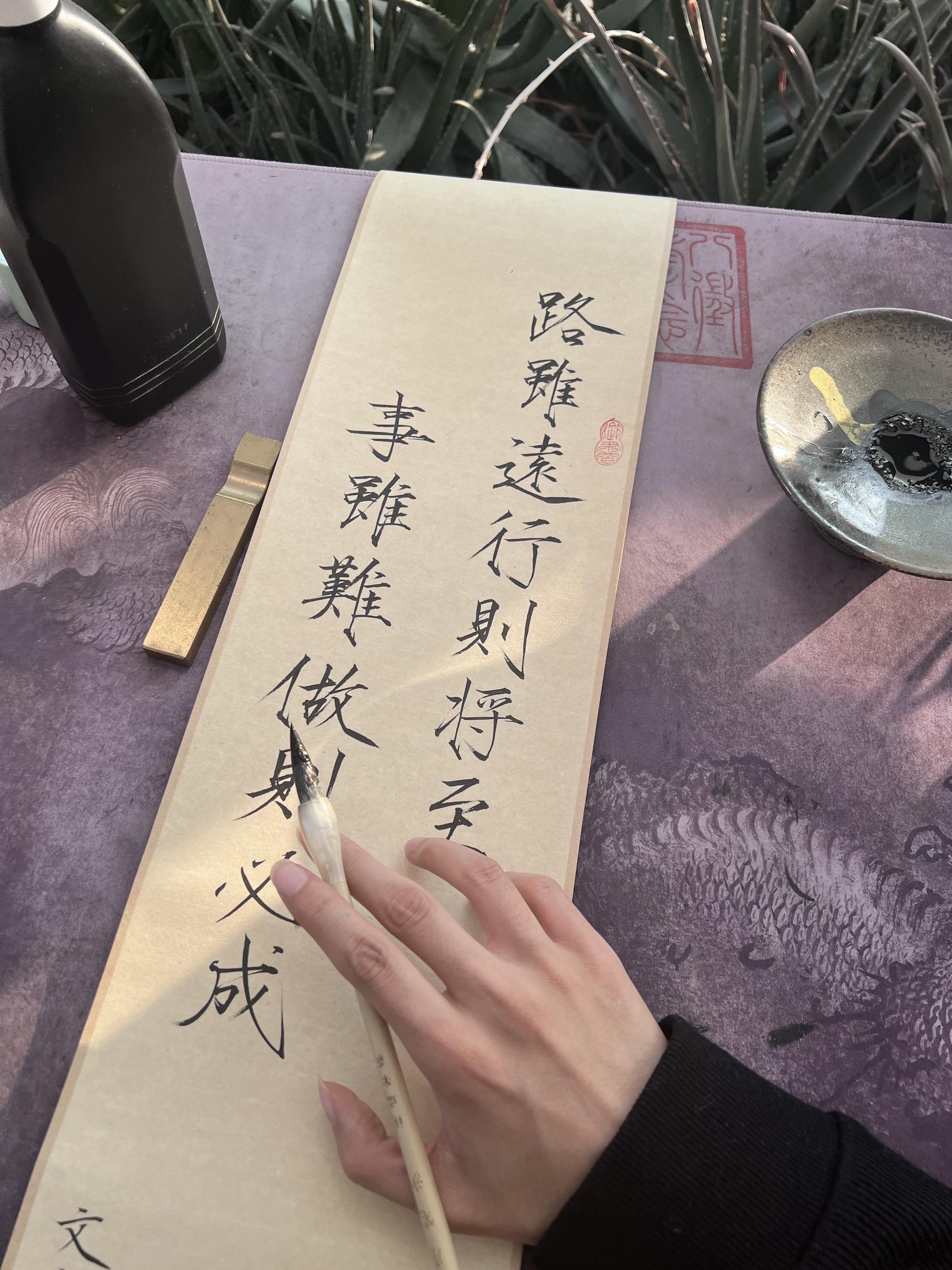 现写～速度～来拍～白菜jia，最后一张进