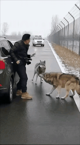 这段画面制作的比较粗糙，相比于有些AI生成的作品，显得还是很稚嫩一些，尽管质量差