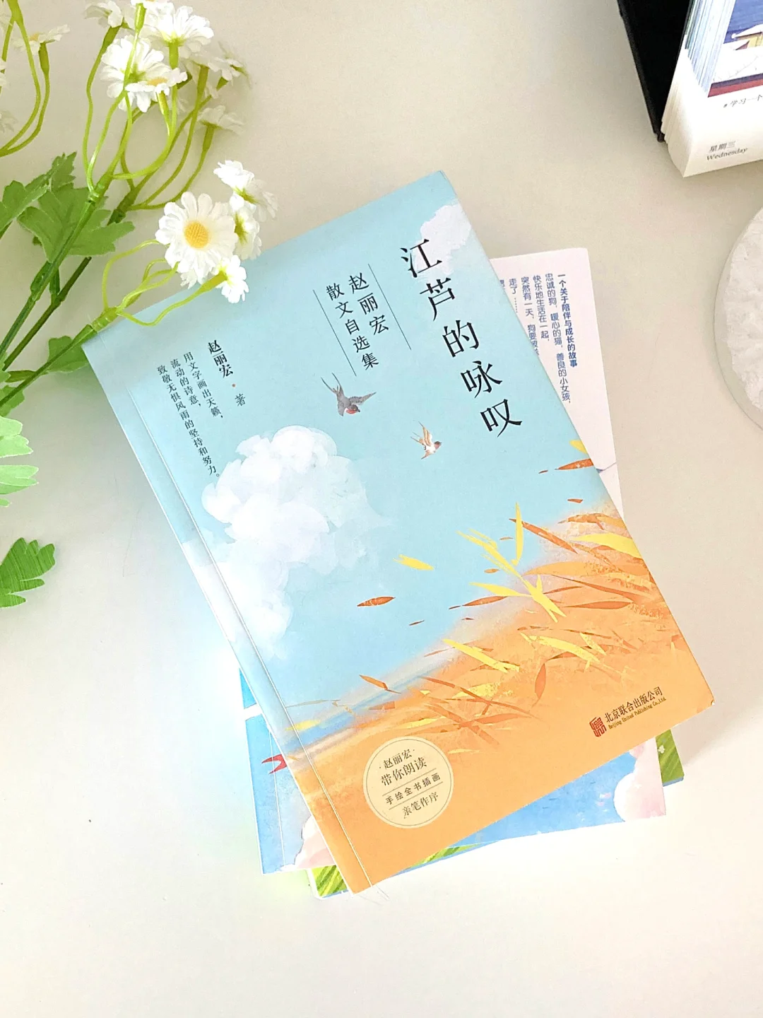 好美❗️值得全书摘抄的一本散文集❗️