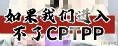 一个细思极恐的真相:无论你加不加入CPTPP，未来只要你想和它的成员国做生意，都