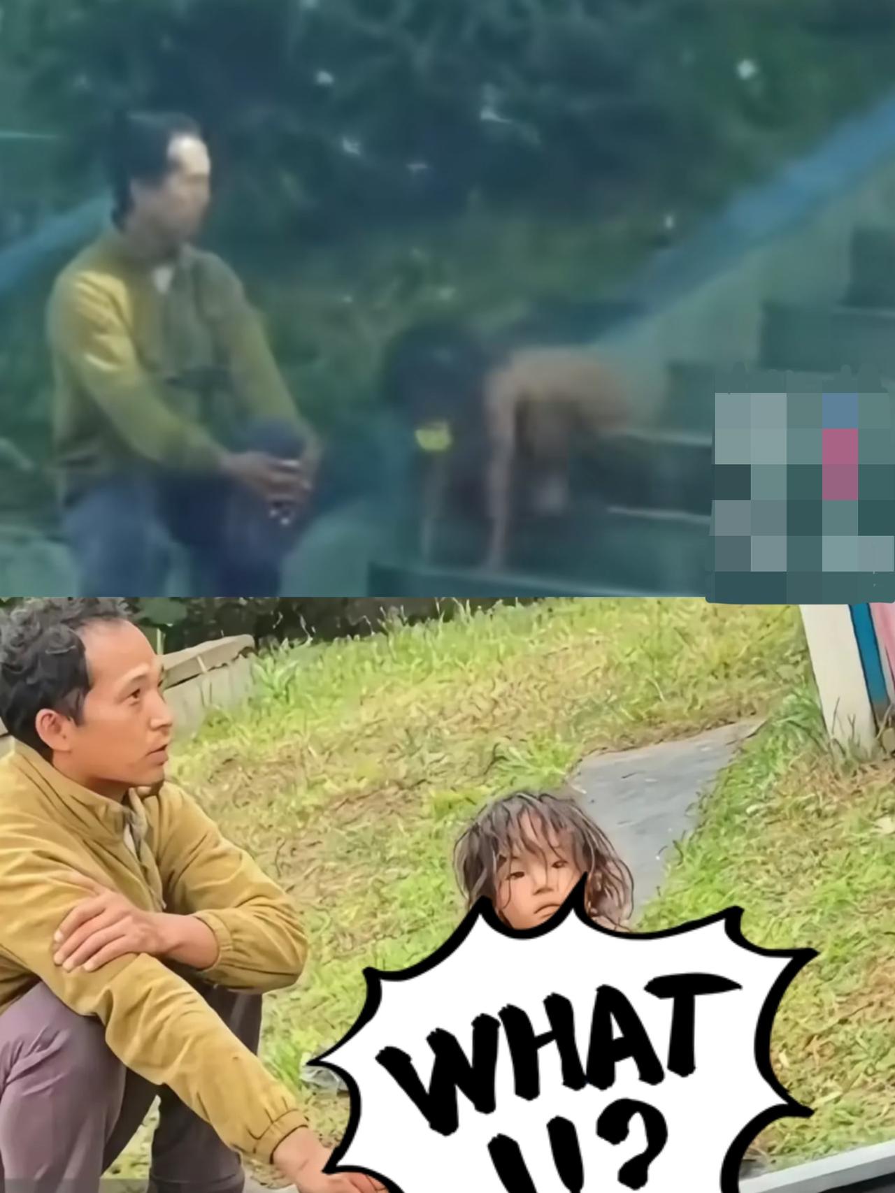 原来野人小孩的父母收入是这么来的啊
不是他们打工赚的钱
也不是靠拍野人小孩的猎奇