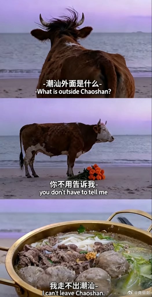 这是什么梗？[笑cry][笑cry][笑cry]热点观点 ​​​
