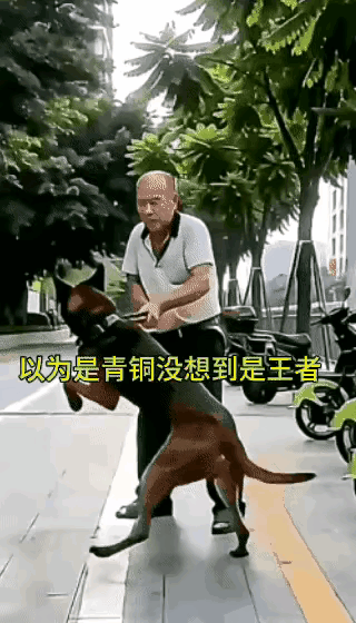 刚开始看大爷走路都不利索，看到最后不得不服。
大爷这是高手 大爷曾经年轻过 大爷