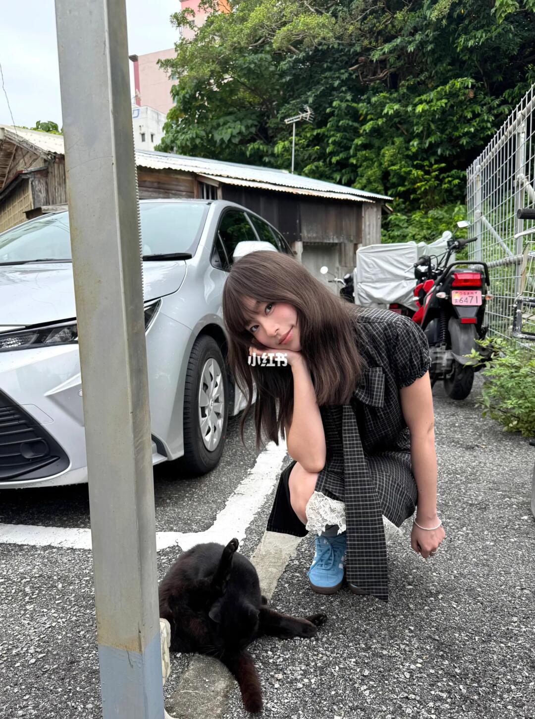 放学路上的小猫