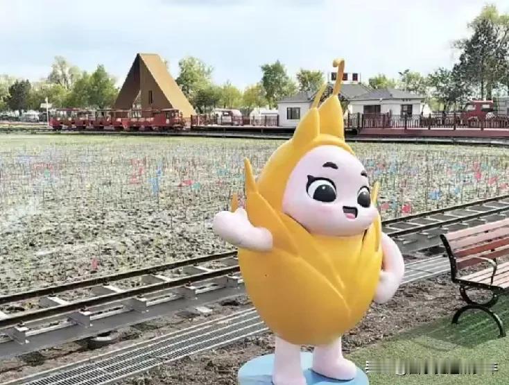 届时，飞机驾驶舱将变身沉浸式模拟驾驶舱，客舱化身“云端餐厅”，舷窗全景呈现稻田画