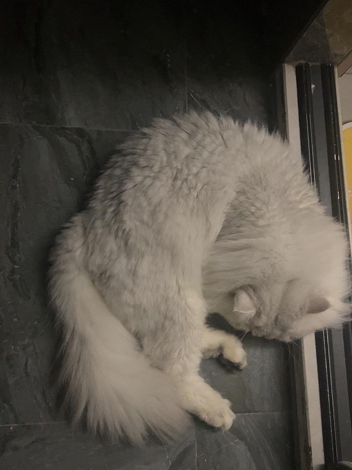 幸福