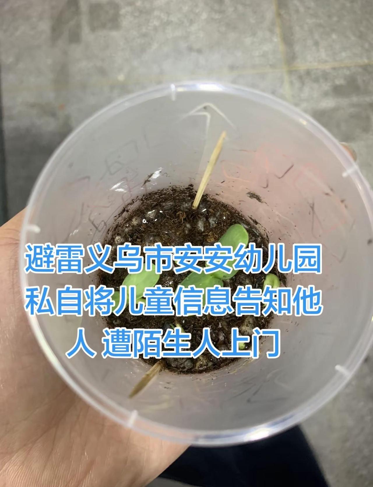 避雷义乌市安安幼儿园！保护好我们自己的孩子！如果我沉默 后面又会轮到谁家孩子？义