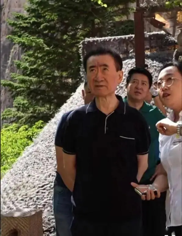 王健林又背上超30亿债务王健林是真的赚了时代的钱，没有及时刹车，时代赋予的，如果