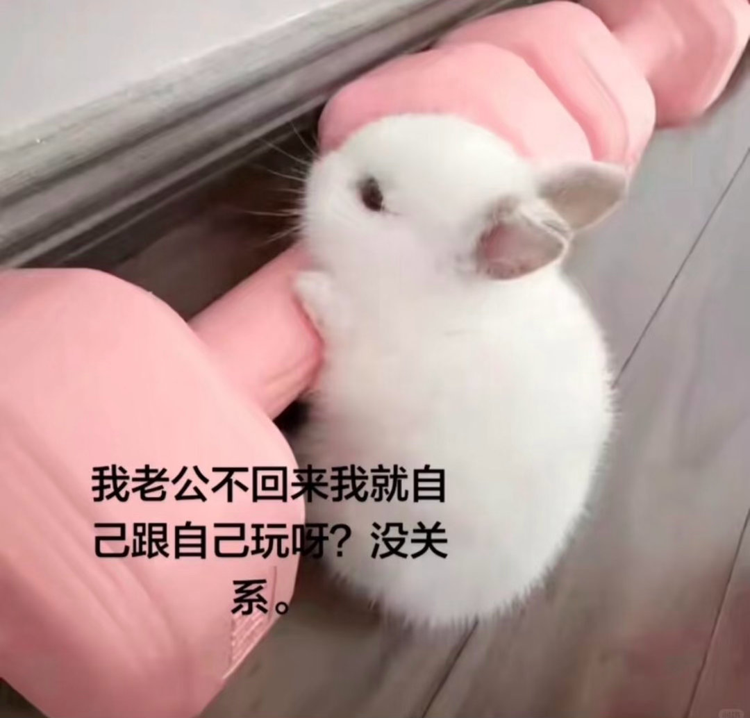 起初老花只是一只寂寞的肥兔子因为没老公只能自己玩然后一步一步练成了一只壮兔子 