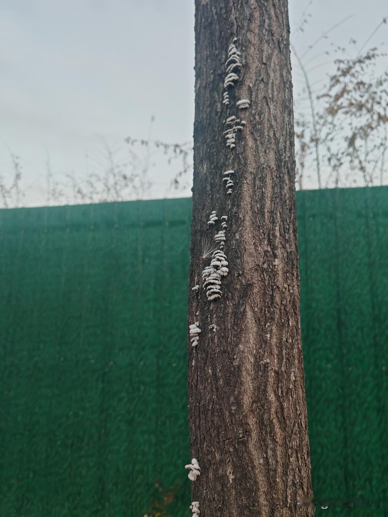 我觉得，
女生觉得男生爱不爱自己的表现是
下雨会不会把伞偏向你这边
吃饭会不会把