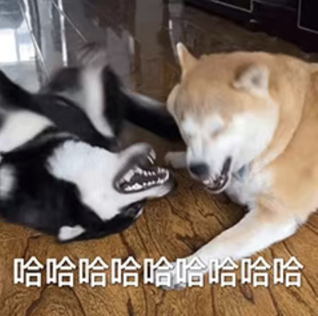 知道她们为啥不“拿”能量站的视频吗？。。。。。。因为她们不会给视频去水印
