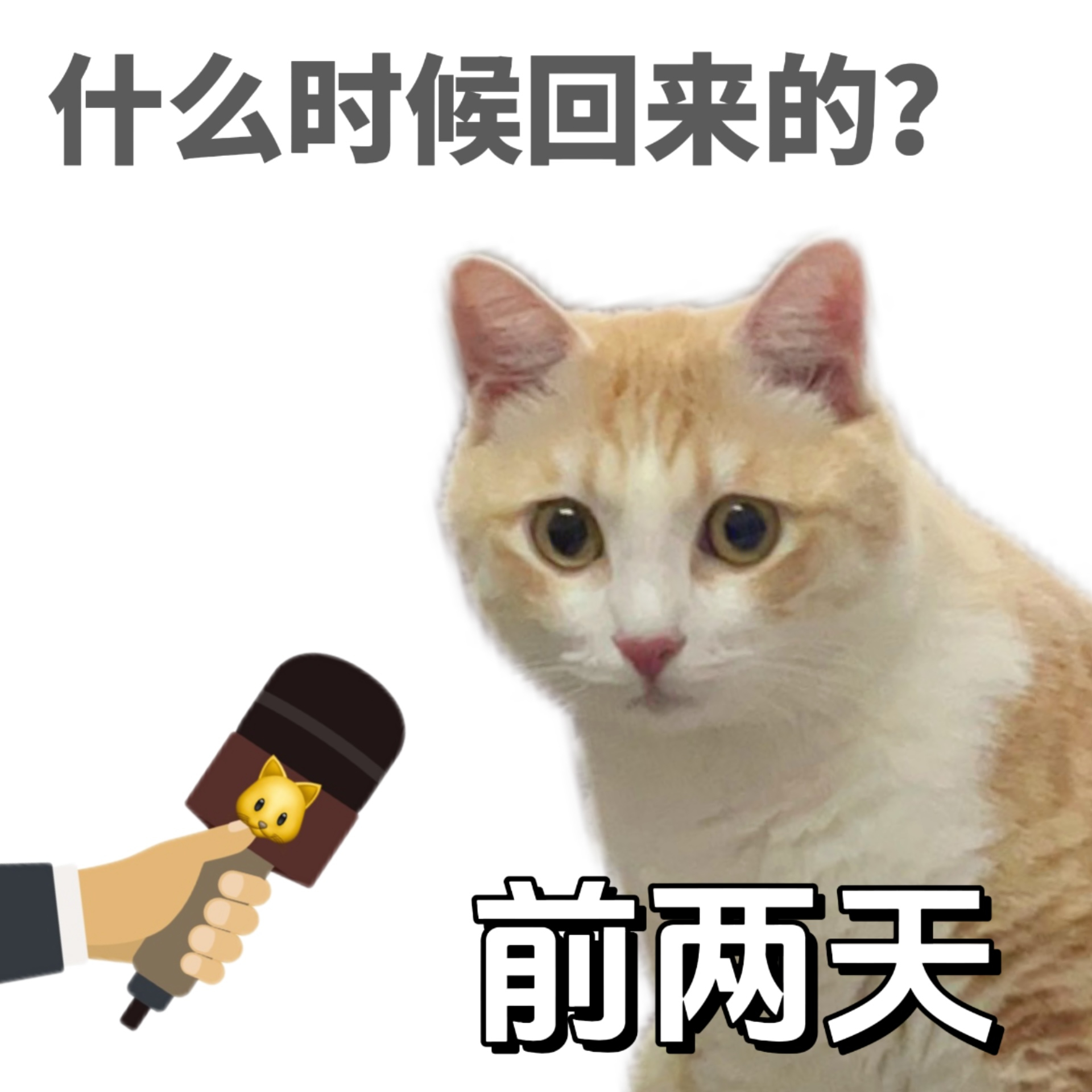 过年亲戚对话演练！还有一个月就过年了应付碎嘴亲戚的已读乱回你记住了吗！🫵🏻还