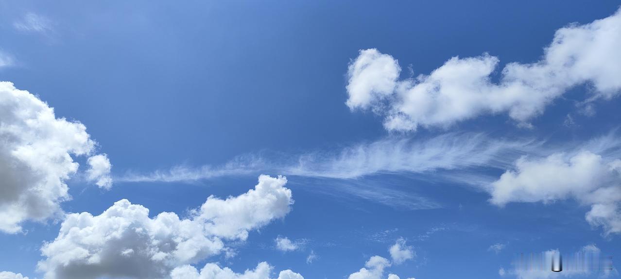 夏日早晨的天空就是我的至爱，喜欢他的蓝，喜欢的洁白，那澄澈纯粹的蓝，像是被水洗过