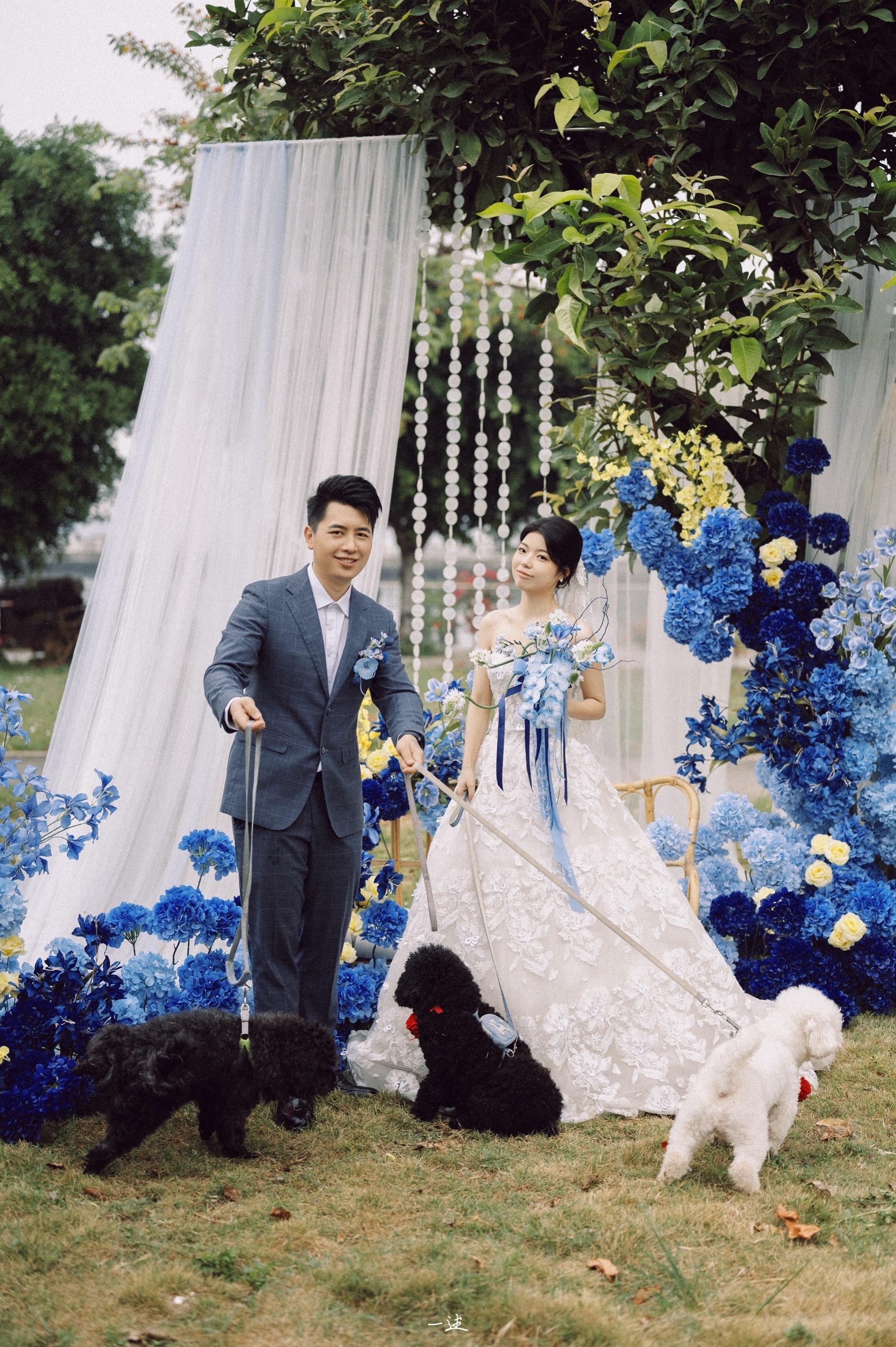 有狗狗的婚礼幸福加倍呀。