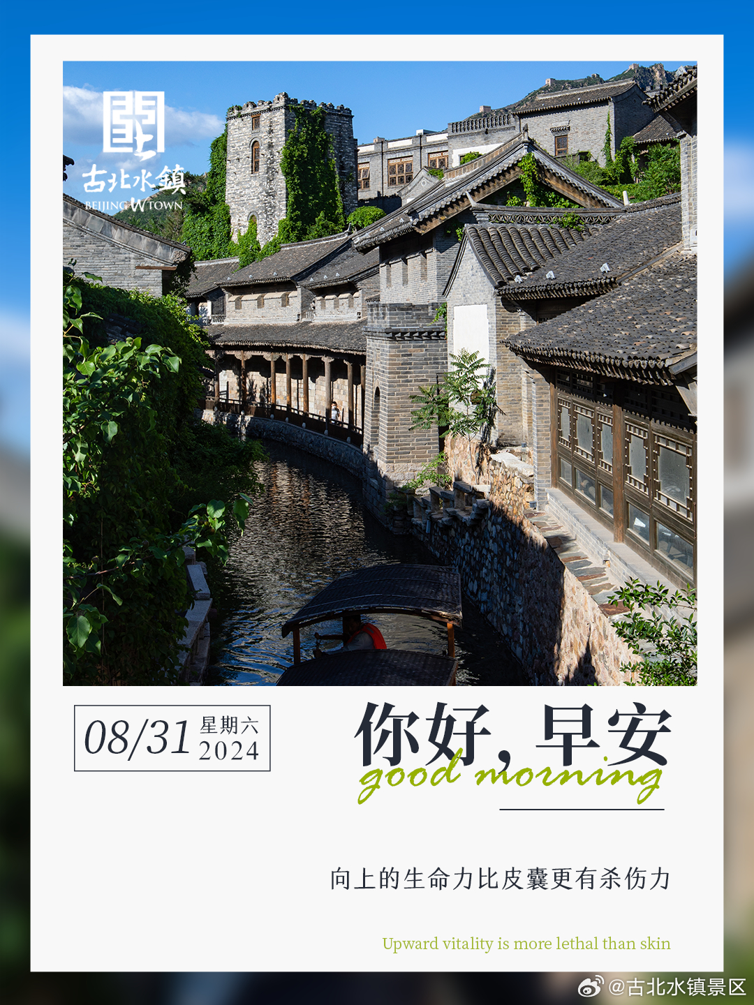 向上的生命力比皮囊更有杀伤力早安，宝子们~ ​​​