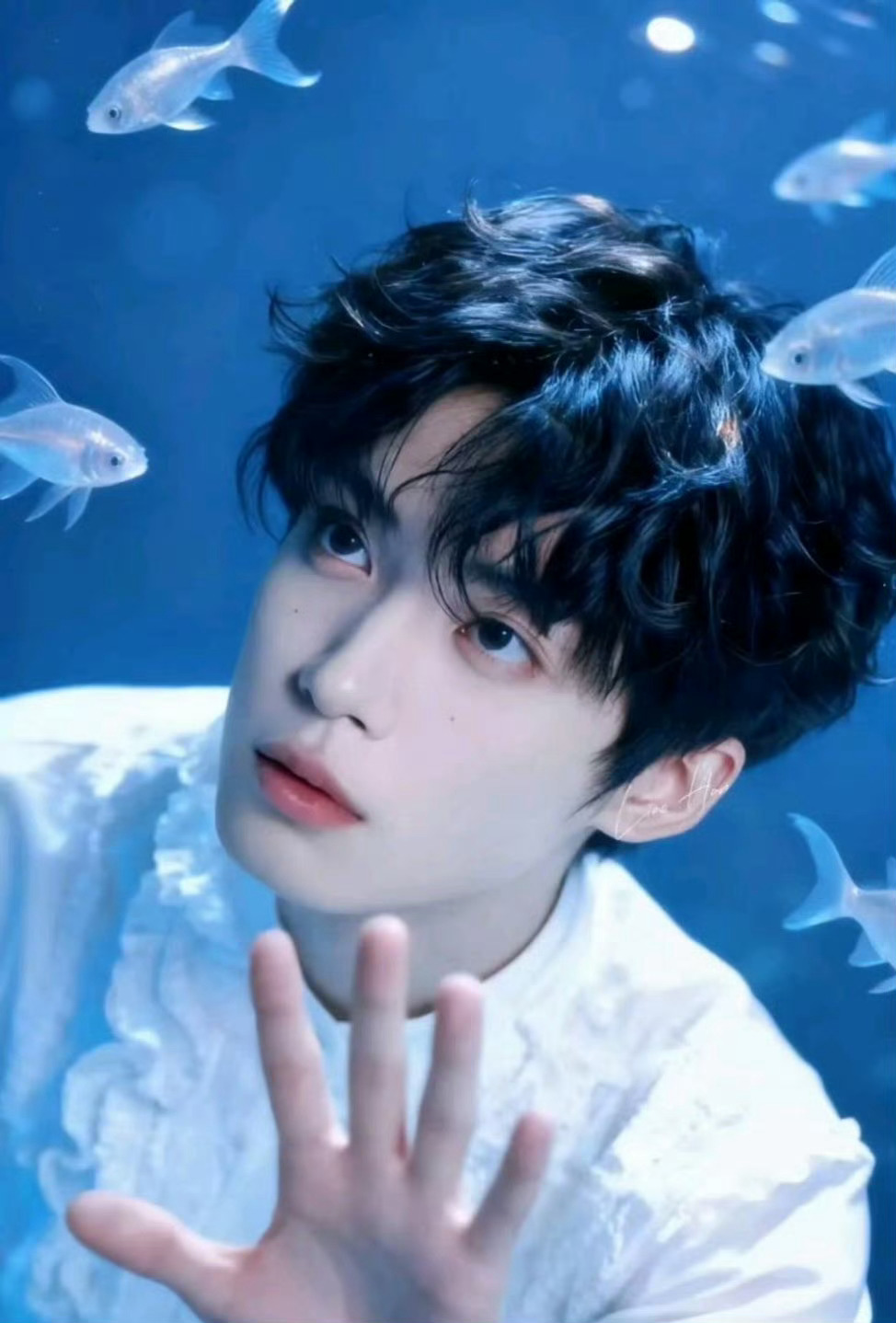 梓渝 🔮梓渝0706生日快乐   “朝晖洒满大地时，我的爱意也徐徐升起.”𝒯