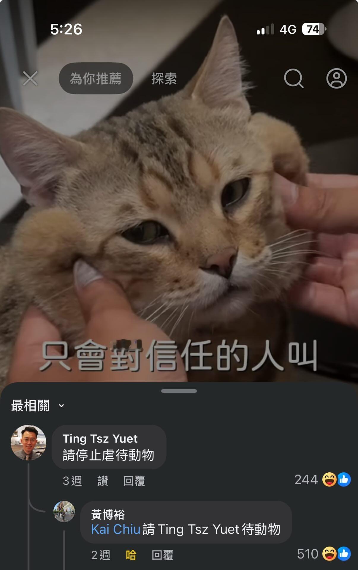 这不巧了吗meme ​​​