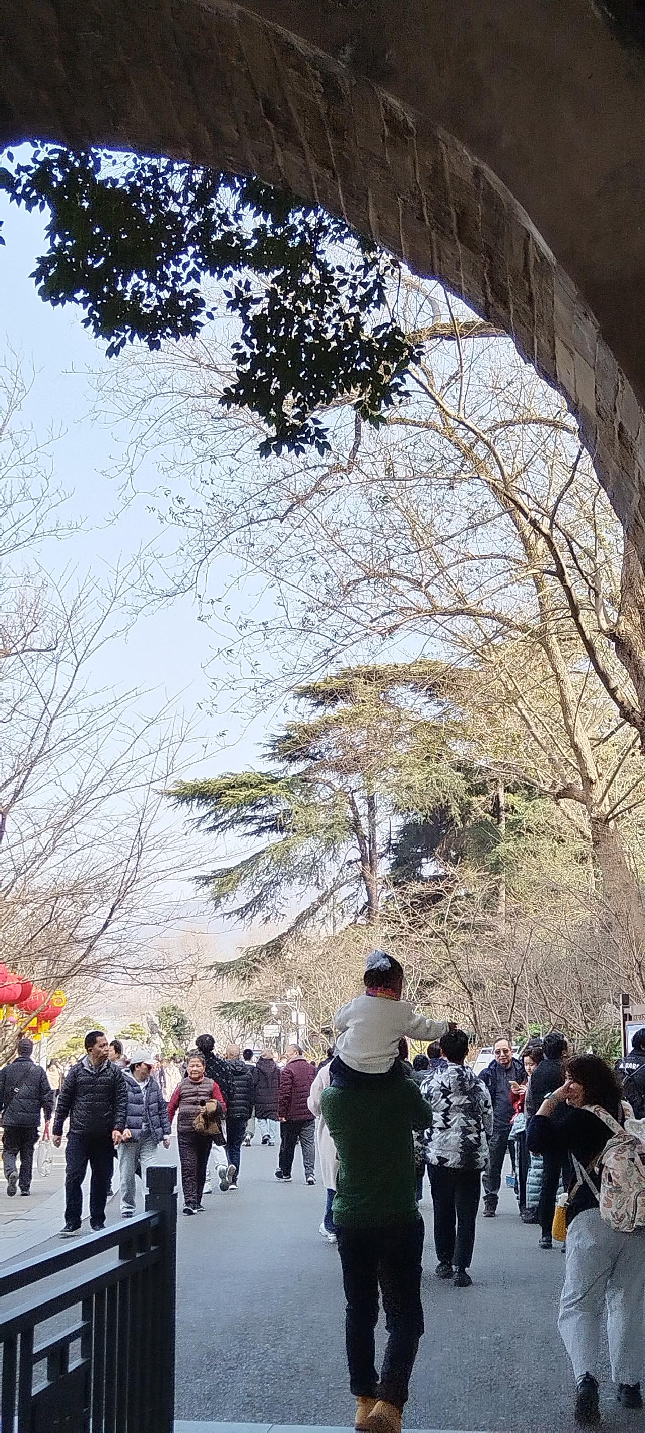 分享一张你在玄武湖拍的照片吧