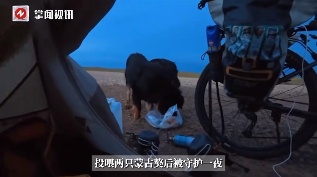 “万物皆有灵！”8月28日，内蒙古包头，一小伙从浙江骑行到了当地游玩，谁知在路上