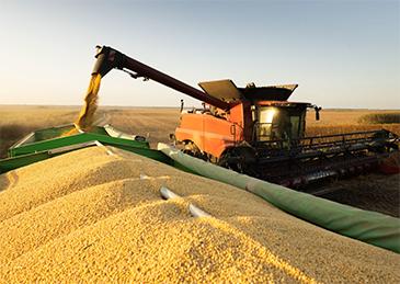 中国又开始进口美国大豆，对高市早苗意味着什么？
据报道，2025年11月中旬，中