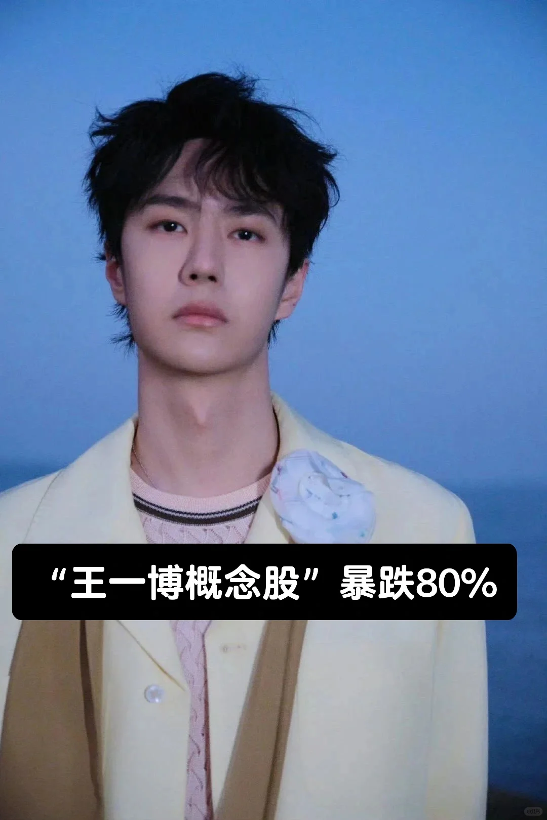 王一博概念股”暴跌80%