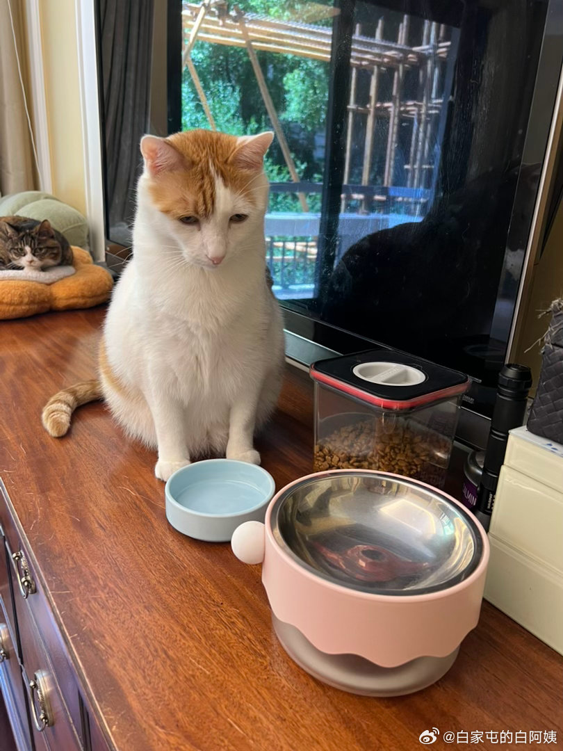 猴猴也是命苦，一粒粮都没有了… 