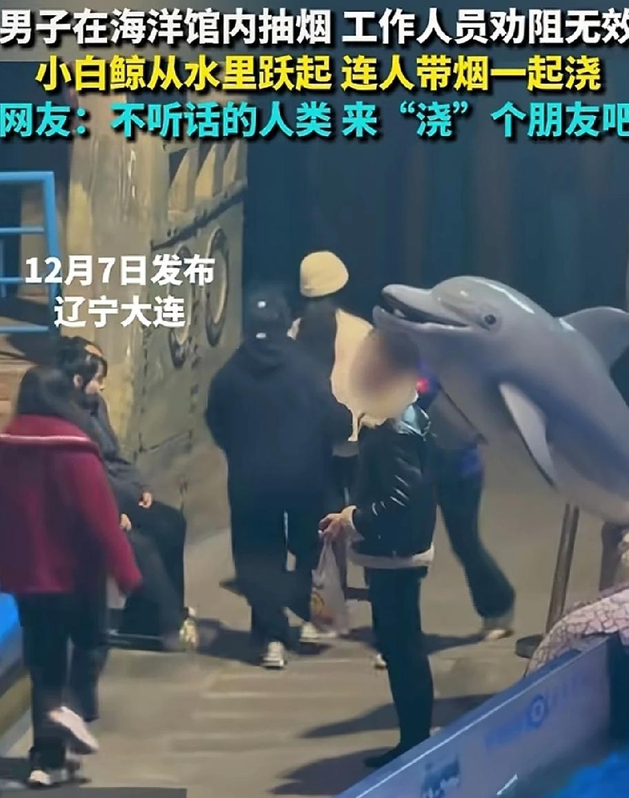 12月7日，辽宁大连。男子参观海洋馆，到了白鲸池，犯烟瘾了，掏出香烟就点上，深吸