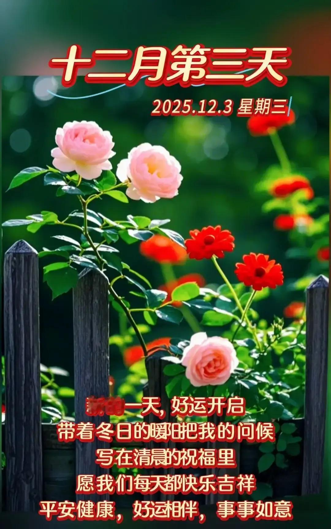 12月初一个没署名的网友写了段冬日早安小作文，阳光拍肩添衣保暖那些话，微博首条就