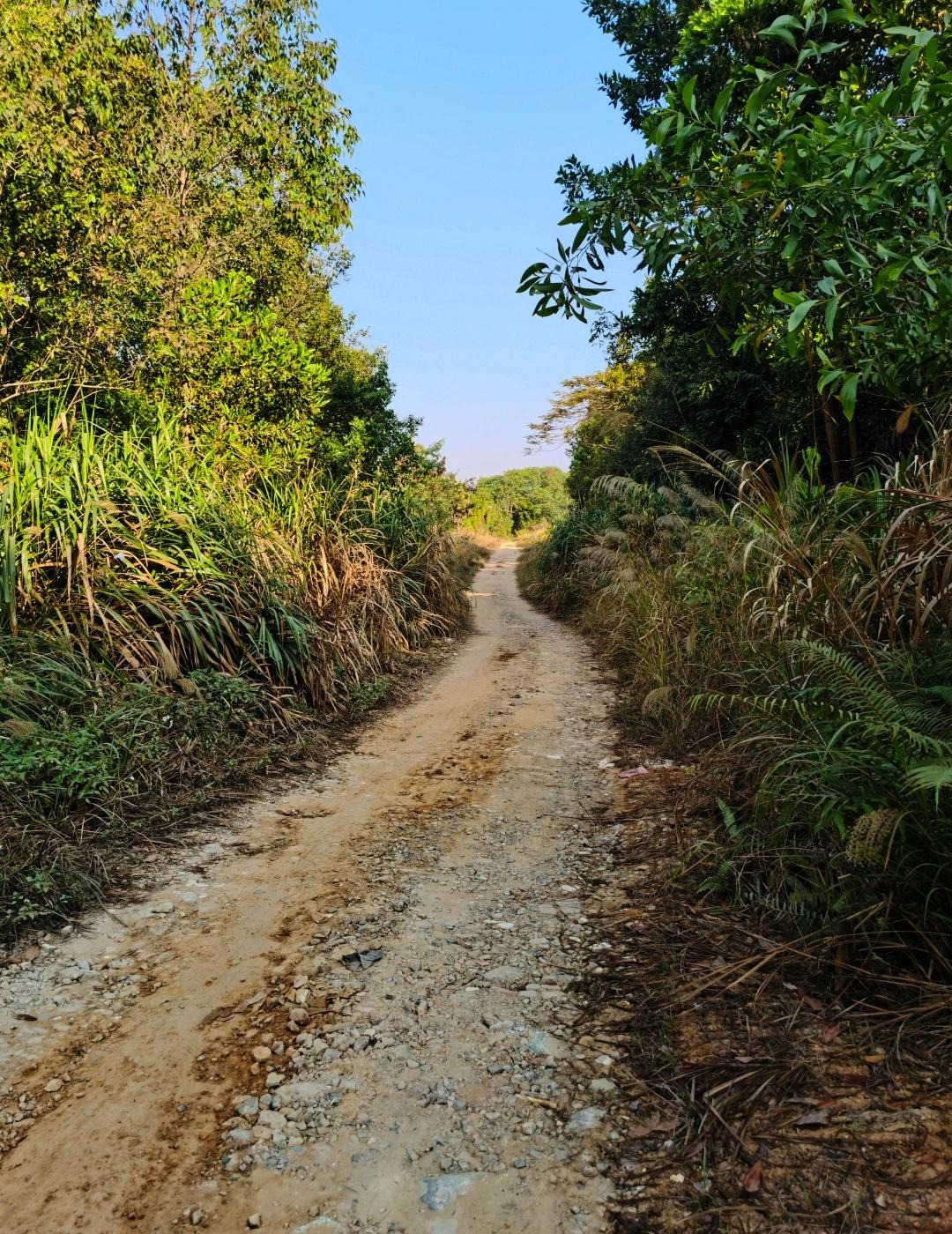 龙岗附近隐秘环湖路 2.5km心跳加速野径穿越
本以为是一次普通的环湖徒步，没想