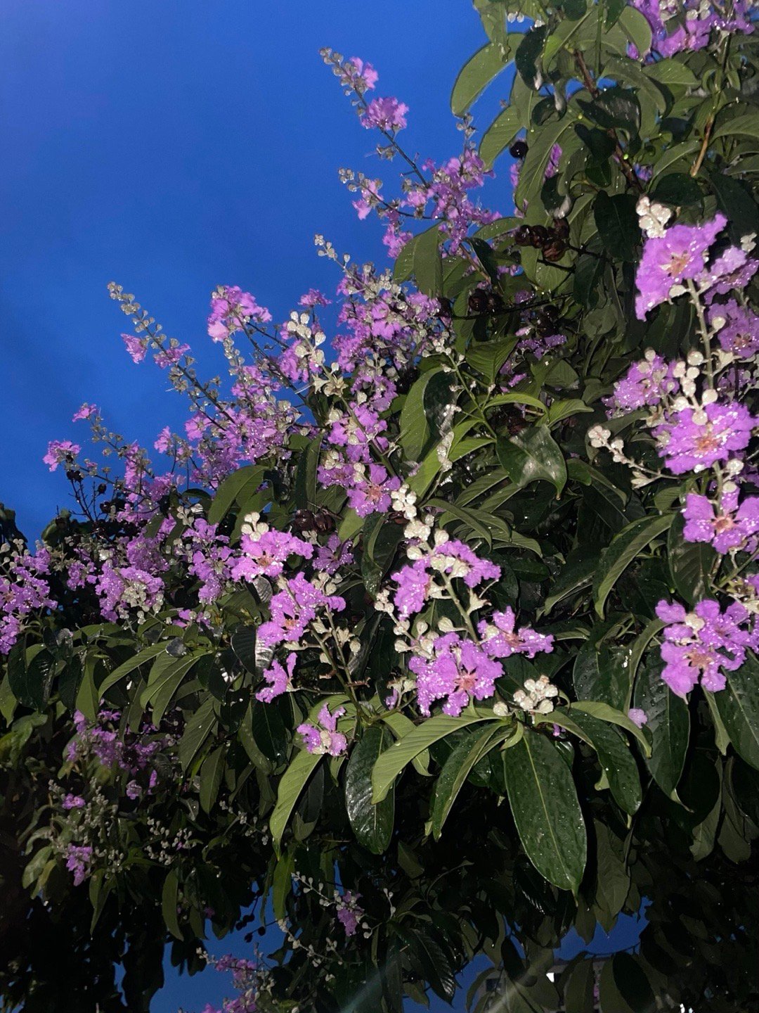 Plog｜🫙允许一切慢慢来☀️自洽才是生活的底色呀🌨️ 