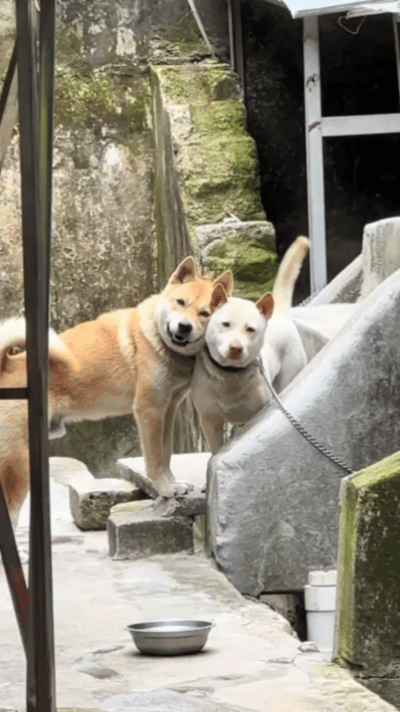 这才是真正的天下第一好我的幽默灵感片场 ​​​