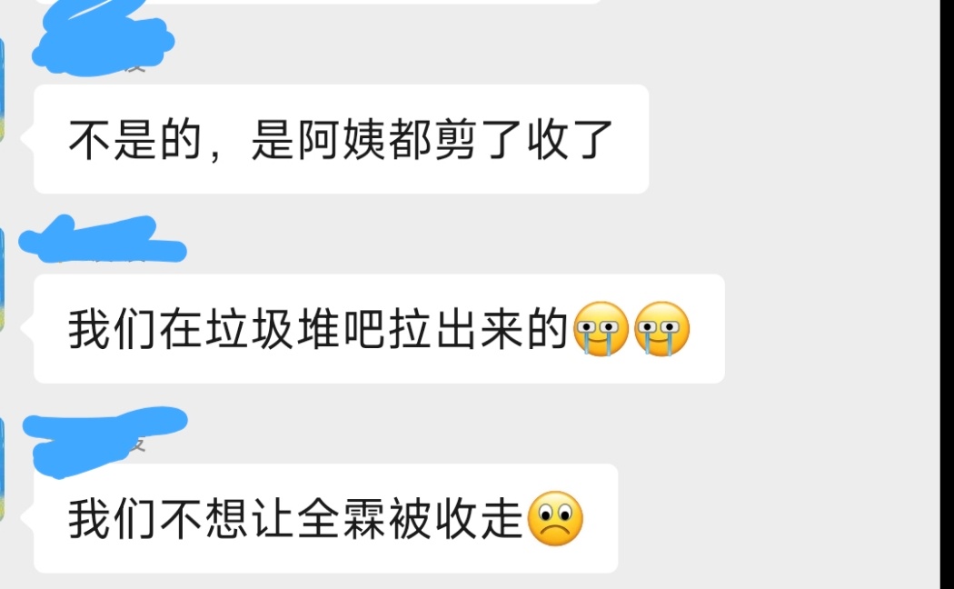 那个双人展板风吹折了，打扫卫生阿姨把板子剪了扔垃圾桶，小玉佩不舍得进垃圾桶，就把