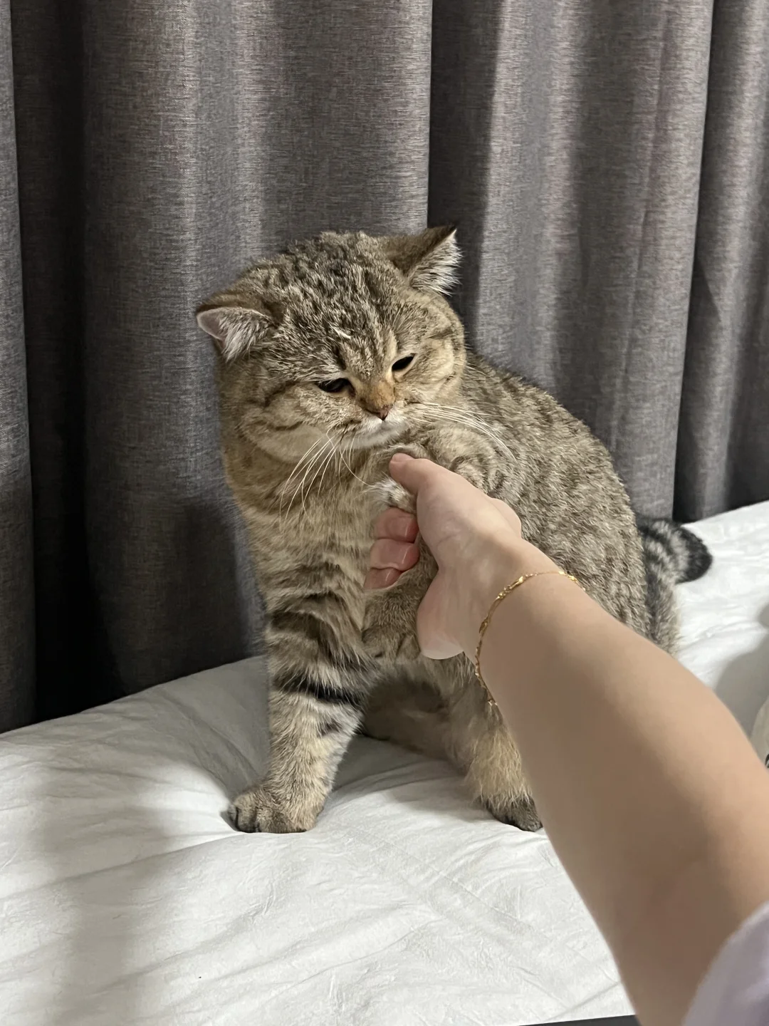 放手，好吗？！