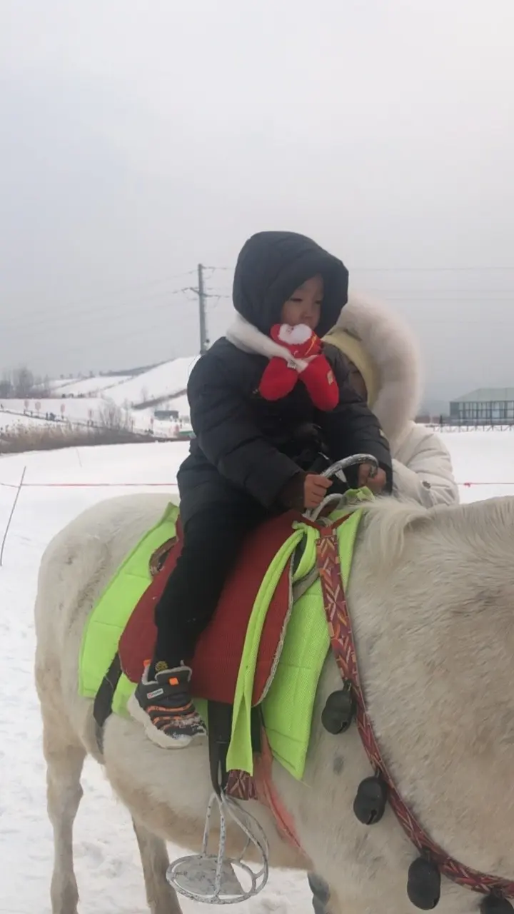 冬天该有的样子冰天雪地 玩雪的欢乐时光