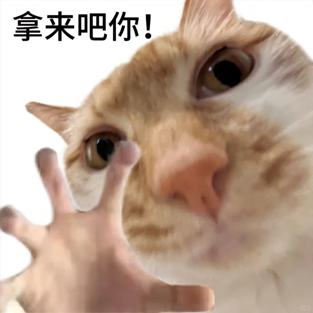 动物奇遇记动物奇趣  是谁还在偷偷用这些抽象到离谱的橘猫表情包？委屈、霸气、憋笑