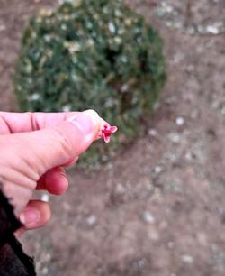 一个妇科医生朋友，跟我说了句最扎心的大实话

妇科医生朋友这话，可算是说到绝