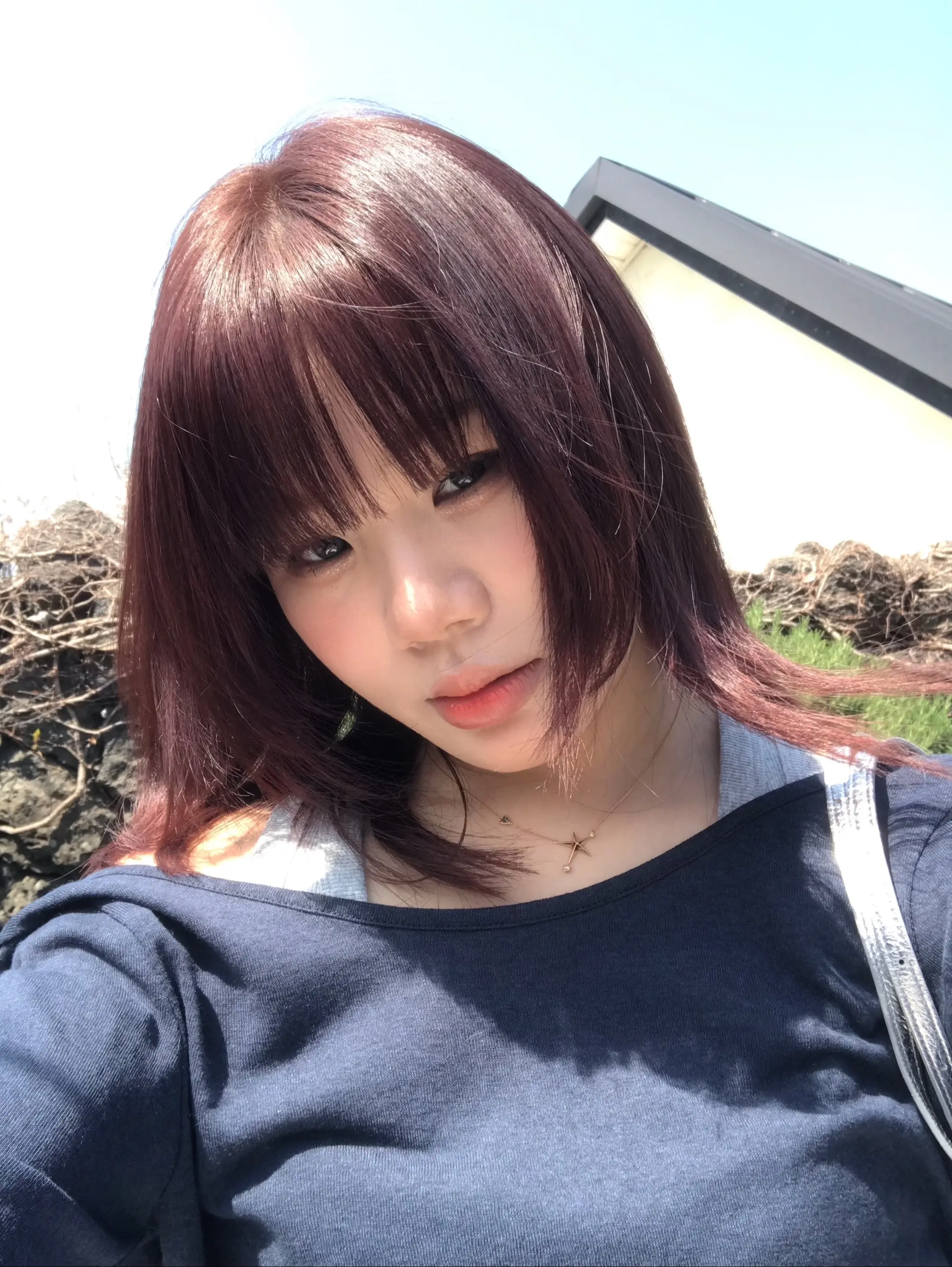 滤镜=造梦💭。美美用上新滤镜，很满意👍