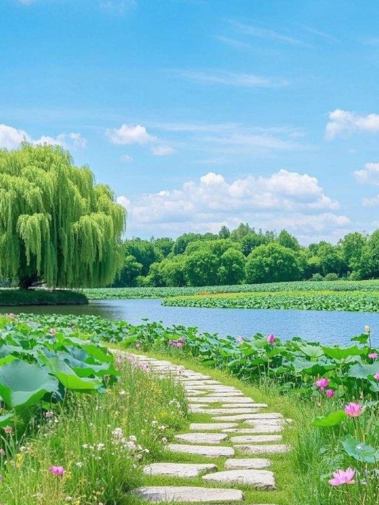 随手拍下初夏美景随手拍下初夏的荷塘小径。夏风漫过荷塘，石板路藏进绿意深处，柳丝垂