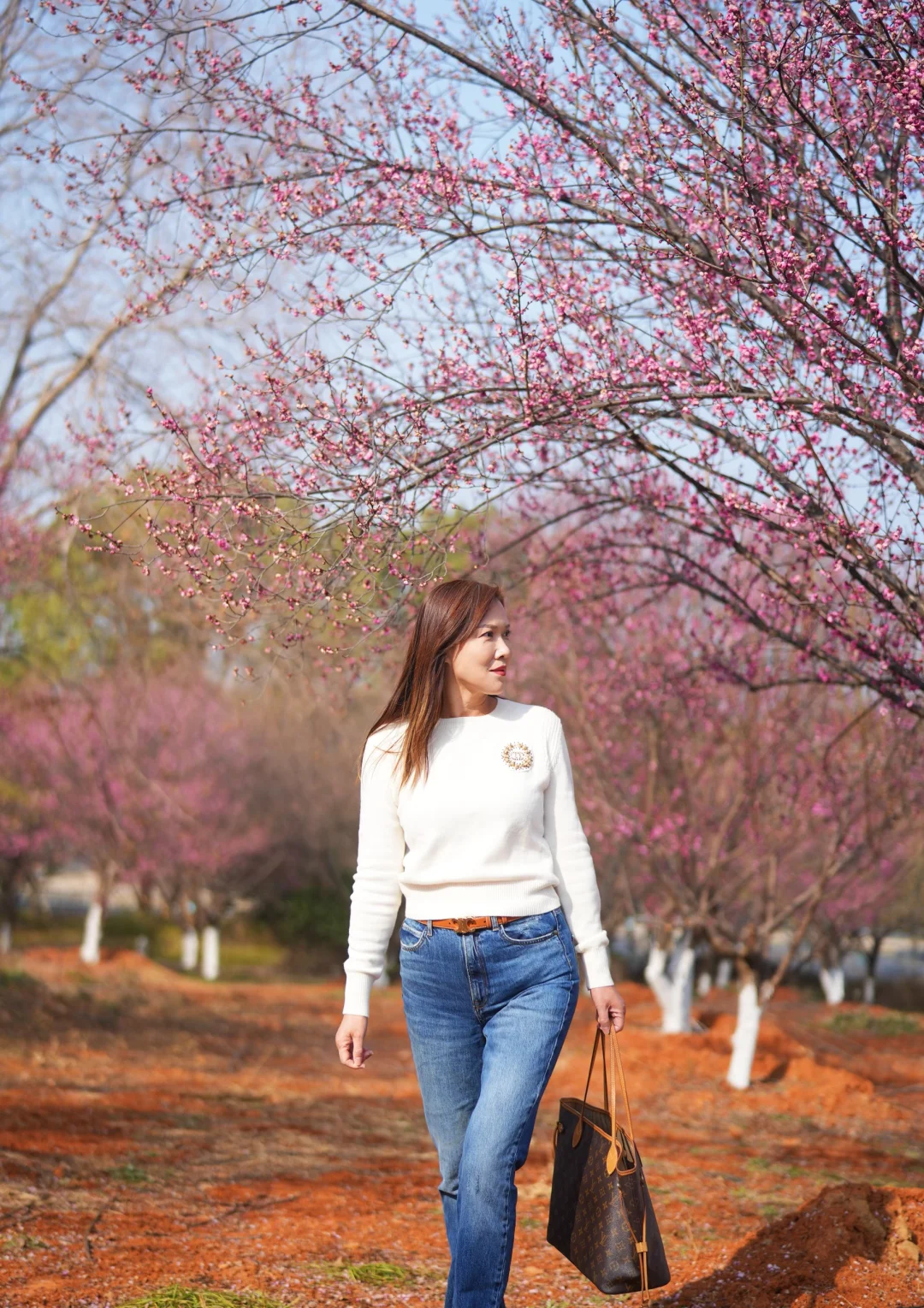 访古寺、探梅花，独享整片梅花林