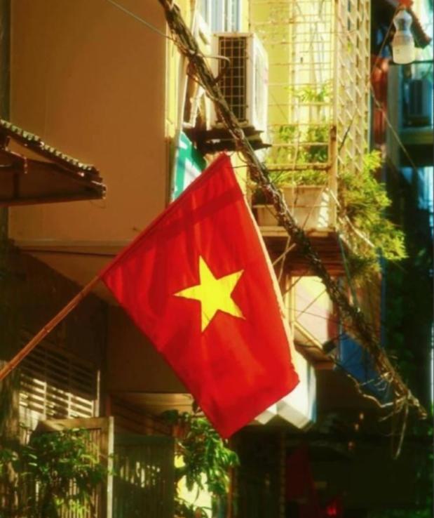 什么叫身体很诚实？越南人表现得淋漓尽致。据统计，外嫁中国的女性，越南排名第一，有