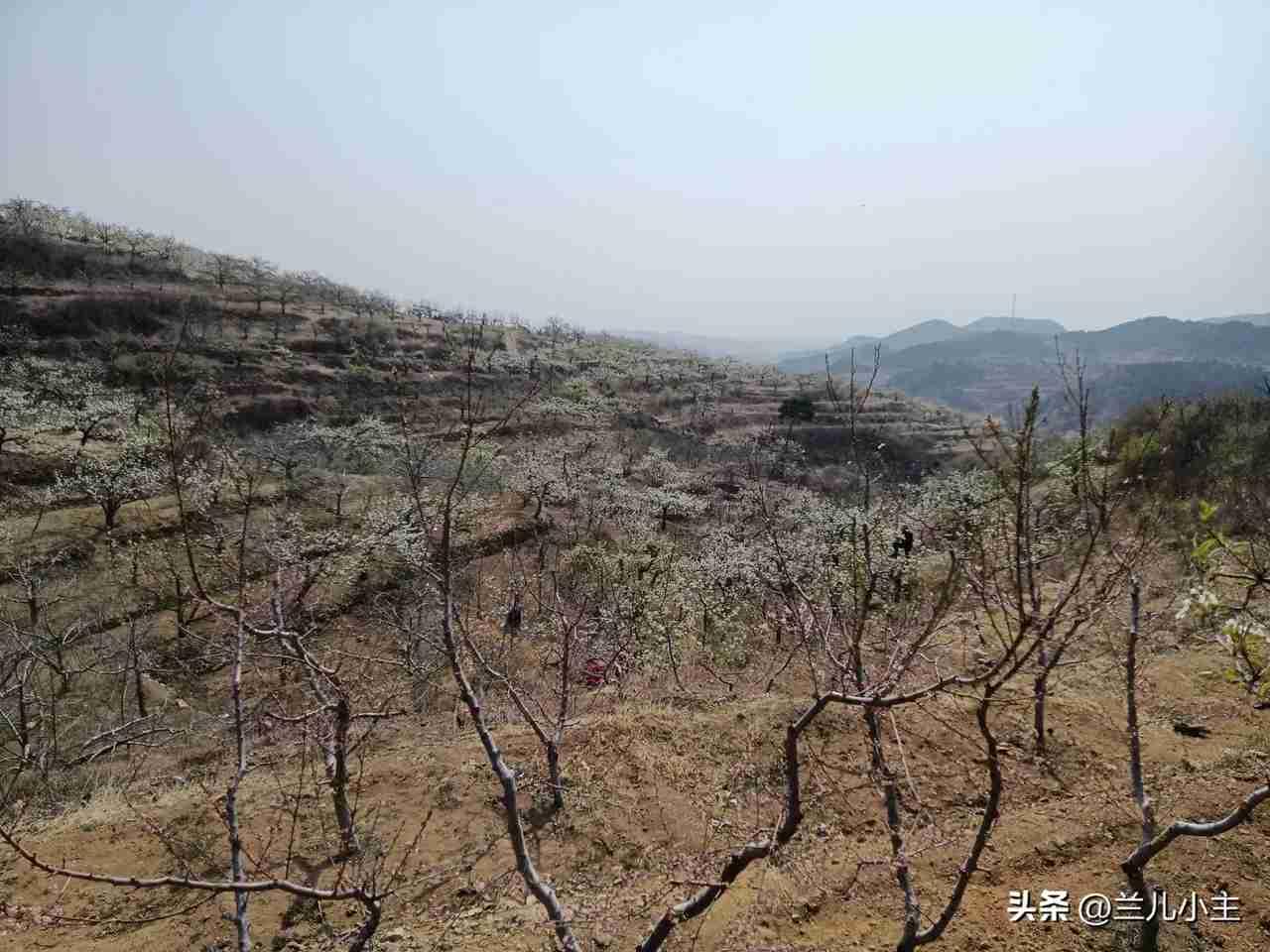 我的今日状态：😁轻松愉快
我这里的天气：🍂微风
今天有点风，不算冷