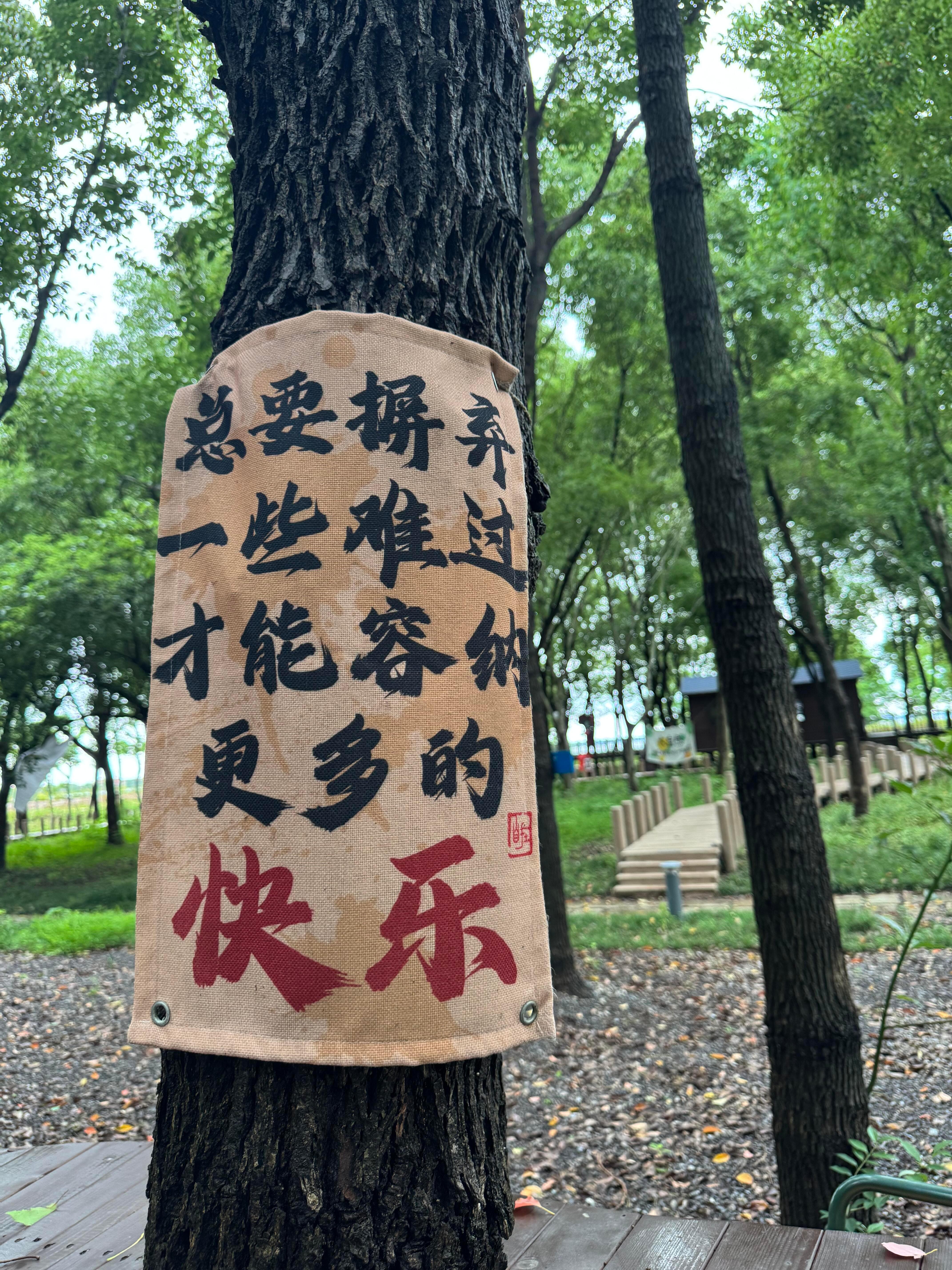 治愈人心的乡野田间,是关于我们的归属。 