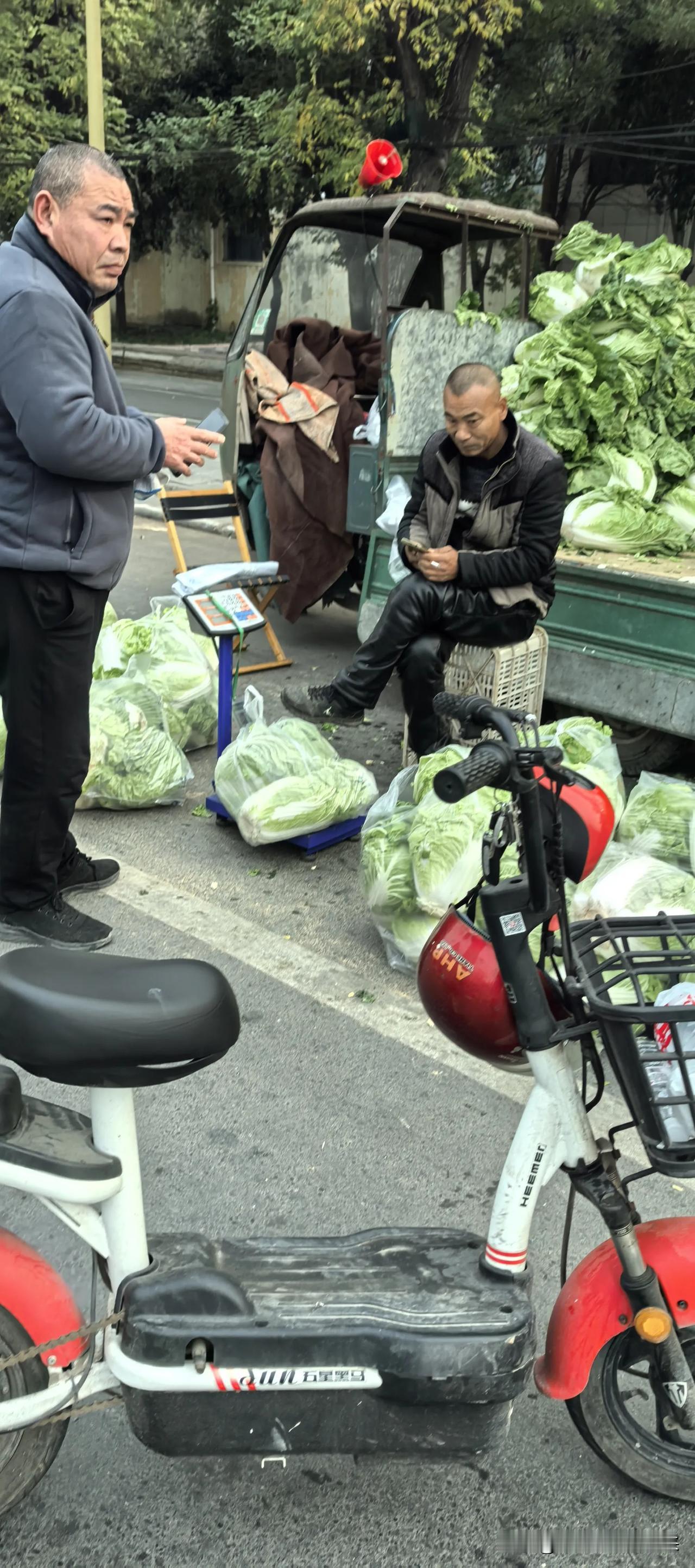 大白菜两毛钱一斤，坐标河南焦作！