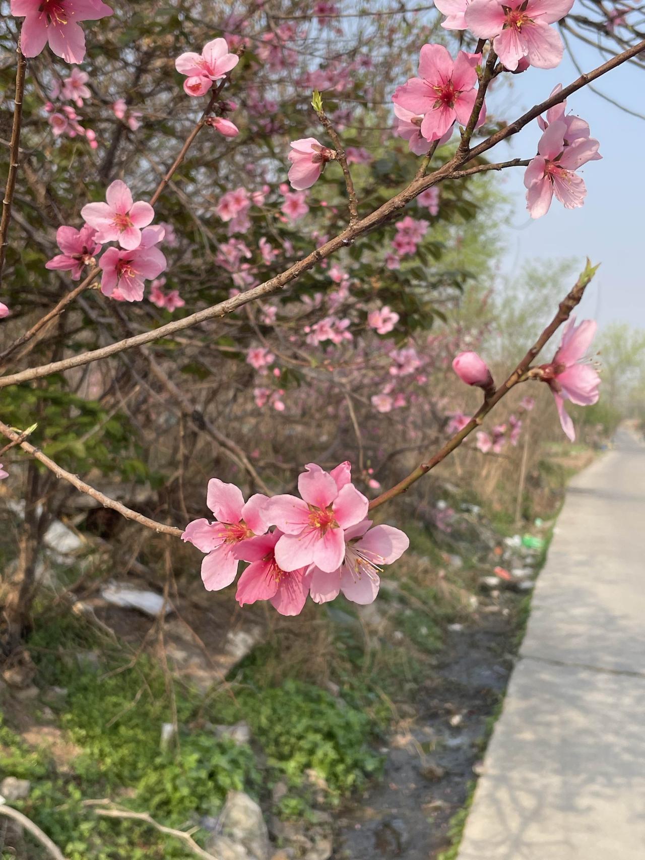 今天买了20元的蓝莓，却和我公公吵了几句，他虽然没有明说我买的蓝莓贵，
我却能听