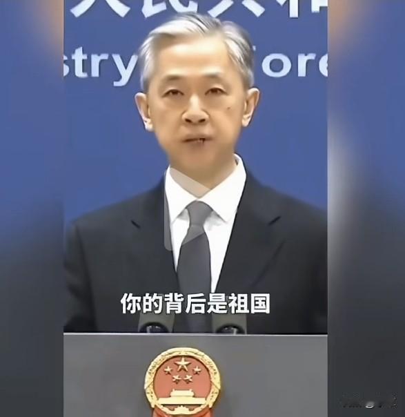 无论什么时刻，无论身处何方，你的身边有我们，你的背后是祖国。

听着这暖心汪大使
