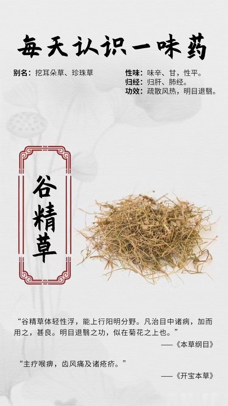 #国医的精诚力量##每天一味中草药##论道岐黄# ☘️【每天认识一味药】[鲜花]