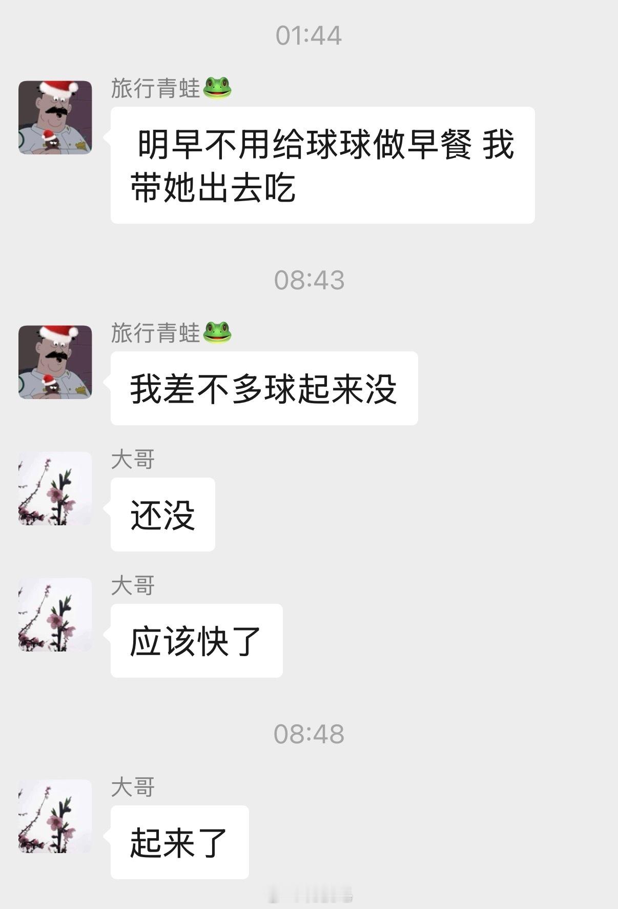 昨天回来我跟旅蛙大吐苦水，说他不在家的时候球球像变了个人一样超级调皮，我和压压毫