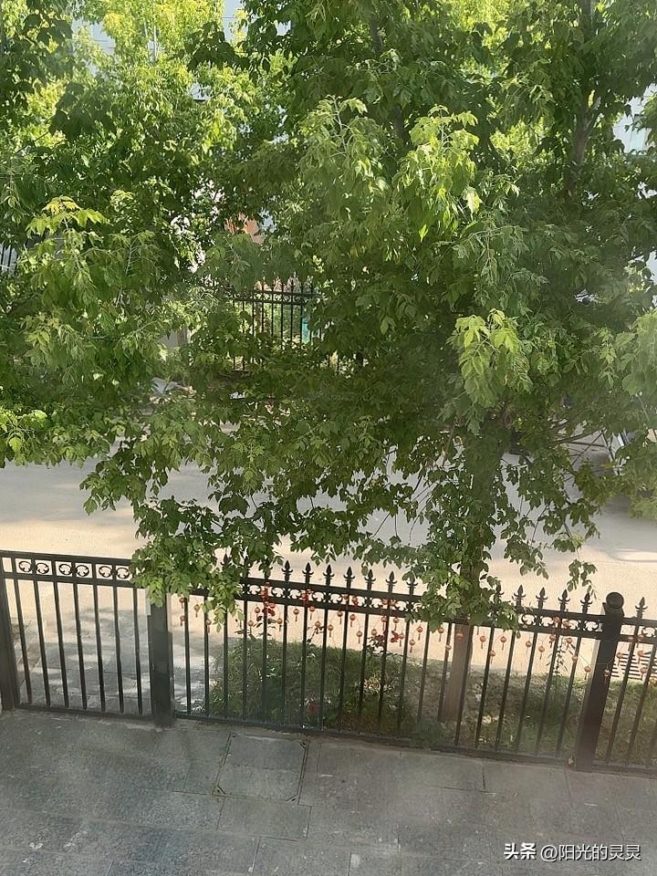 我们这里夏天一般最高温度也就36度左右，晚上20来度。到下雨天时也就10~20来