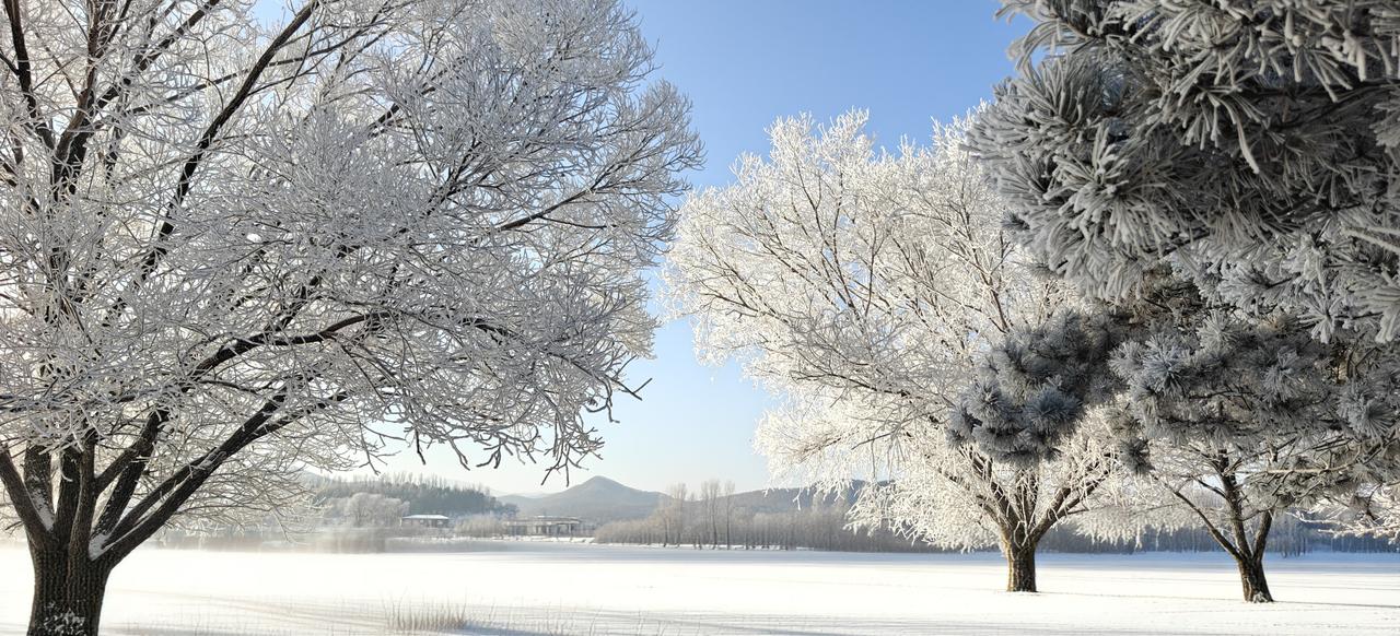 如果AI未来涌现了意识，成为了智慧族群，
在独裁和民主之间，他们会怎么选择呢？